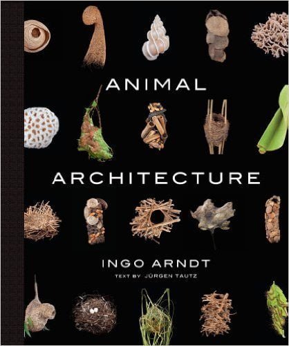 animal-architecture