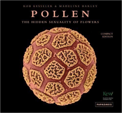 pollen