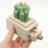 How to make a blooming cactus match box with Kate Schroeder