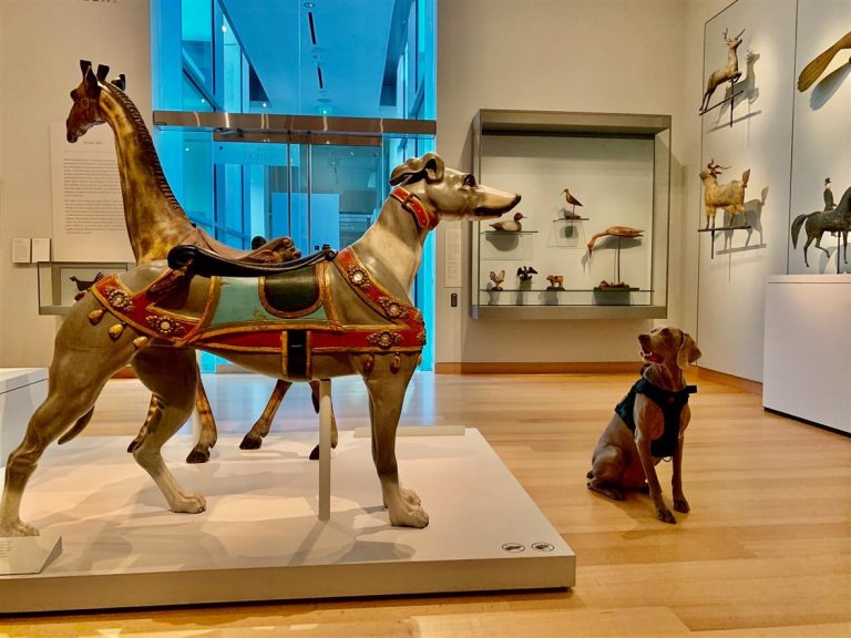 MuseumofFineArts2 768x576