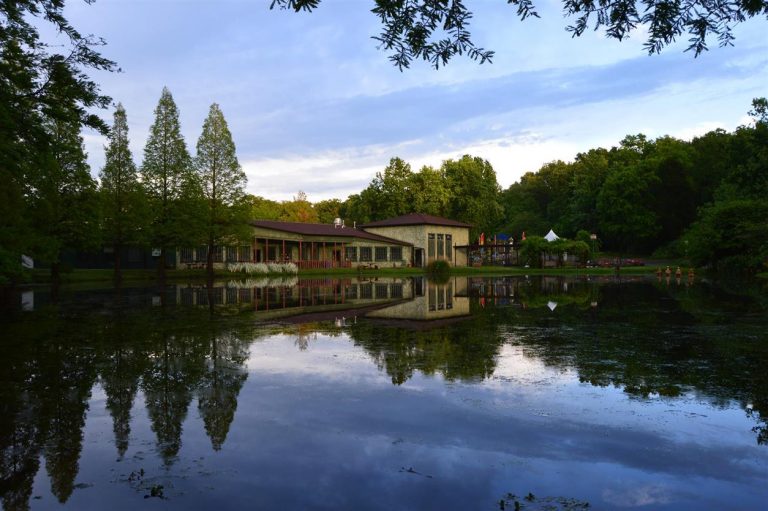 TerraStudio2 768x511