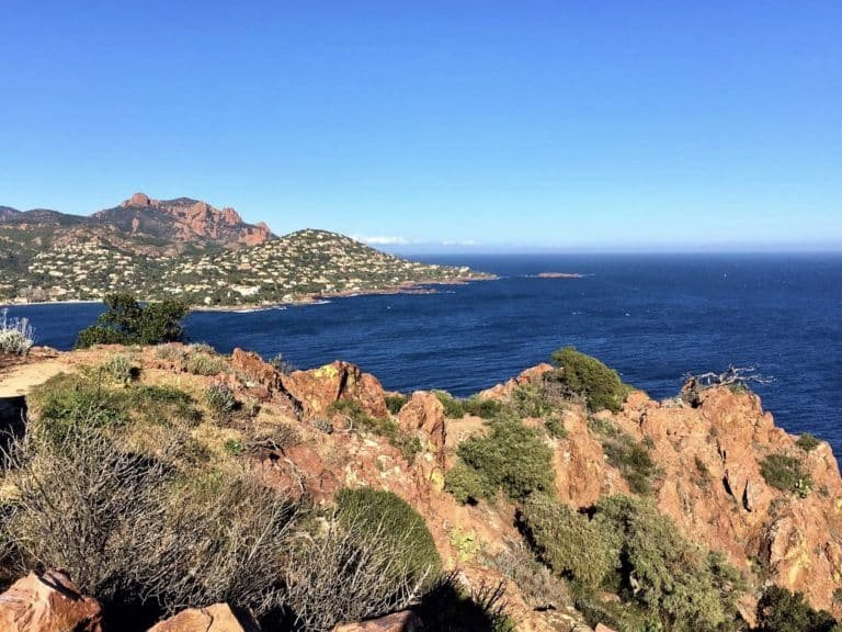 Screen Shot 2022 07 28 at 3.11.17 PM 768x576