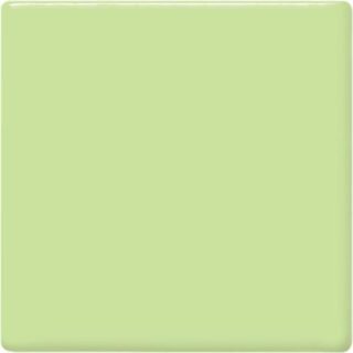 tp40 mint green square 2048px 320x320