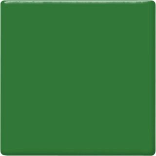 tp41 frog green square 2048px 320x320