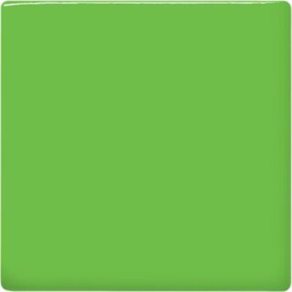 tp43 green leaf square 2048px 320x320