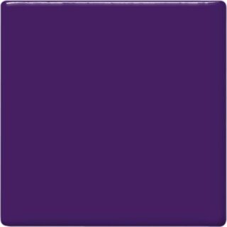 tp51 grape square 2048px 320x320