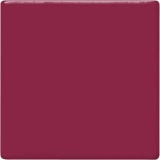 tp52 raspberry square 2048px 320x320