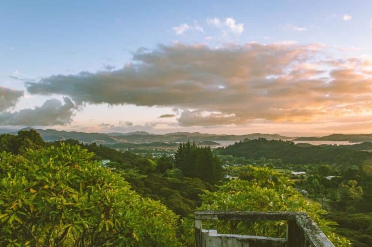 Driving Creek2 768x510