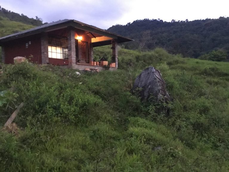 artesumapaz 1 768x576