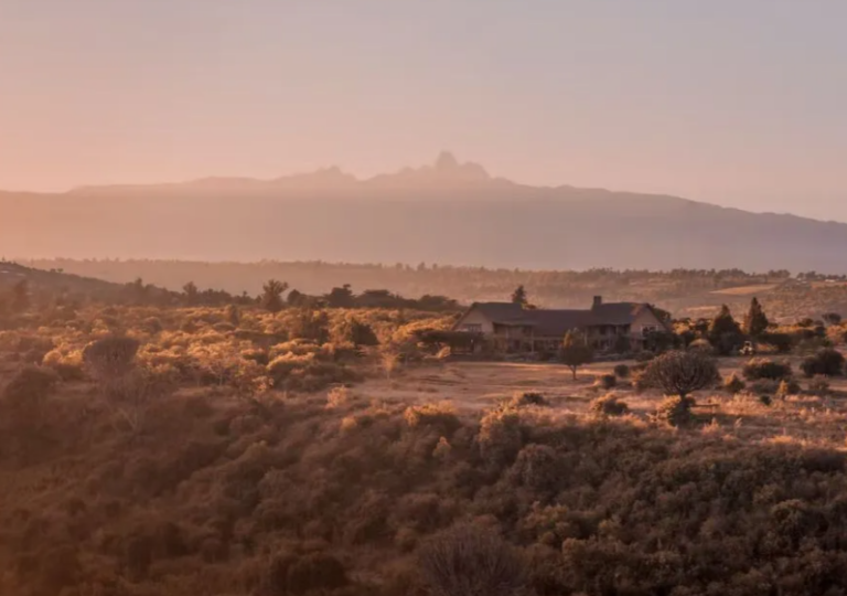 olepangifarm2 1 768x540