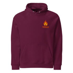 Professional Pyromaniac Embroidered Hoodie