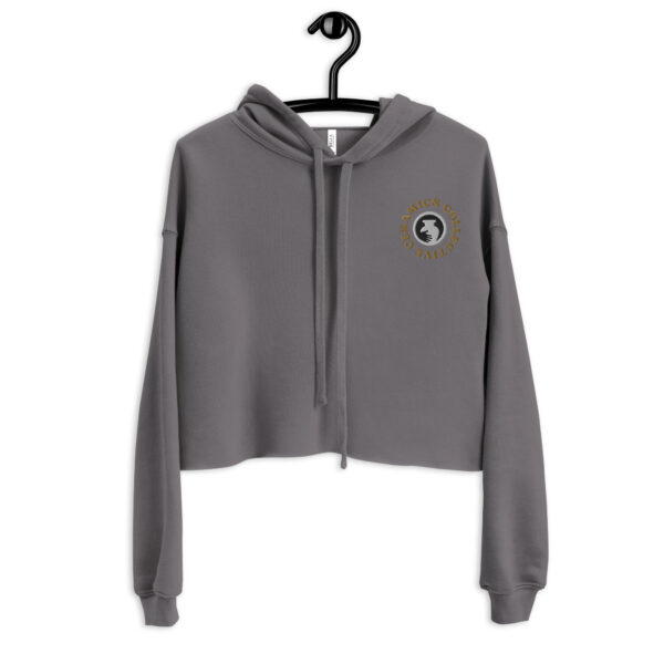 Ceramics Collective Crop Hoodie - Image 10