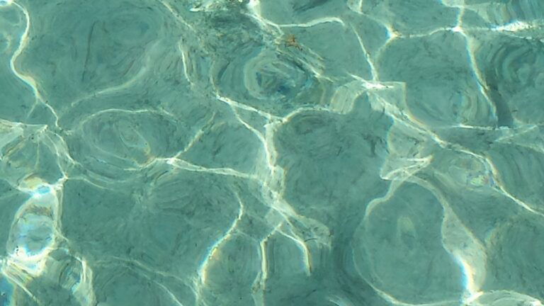 dca81c20 b3b9 4d94 b8b0 ee3575f374b5 1 all 11484 768x432