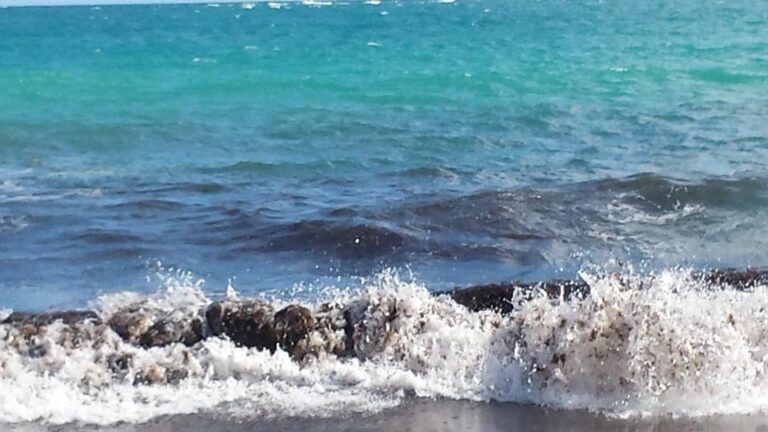 dca81c20 b3b9 4d94 b8b0 ee3575f374b5 1 all 15279 768x432