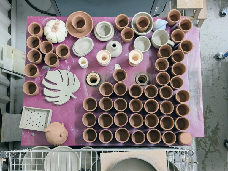 PXL 20251009 1313292162 768x578