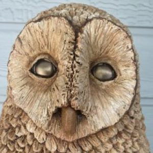 Profile photo of Stacy Medaries