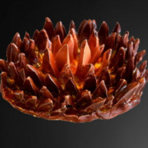 Profile photo of derya