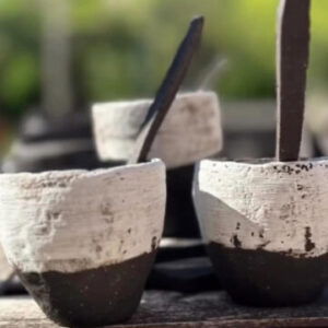 Profile photo of A.M