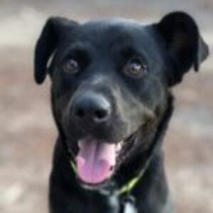 Profile photo of Paula Banwell