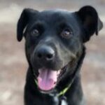 Profile photo of Paula Banwell