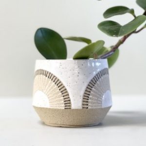 Profile photo of Judith Lemmens