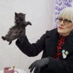 Profile photo of lisavallez@gmail.com