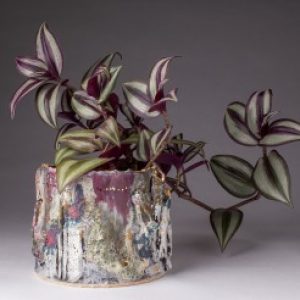 Profile photo of Pipyr Dooley