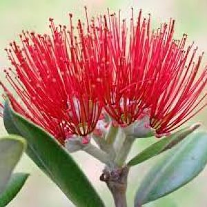 Profile photo of Jo Richardson