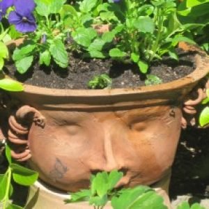 Profile photo of Jennifer Anderson