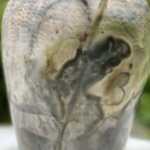 Profile photo of Betsy Chodorkoff