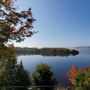 Profile photo of Amanda Burns-turner