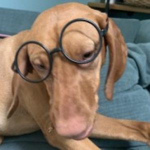 Profile photo of Melissa Schulman