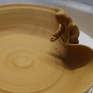 Profile photo of a.n.rohr