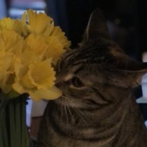 Profile photo of Mary-Beth Buesgen