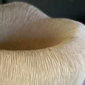 Profile photo of Kato Keramik