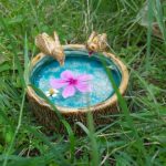 Profile photo of Designabode