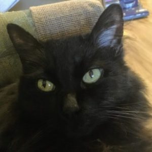 Profile photo of Mary Doty