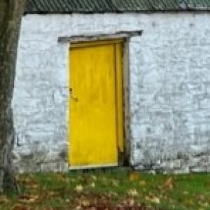 Profile photo of Aine Healy