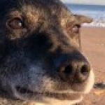 Profile photo of Lynne138