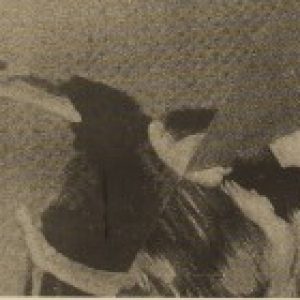 Profile photo of En-En See