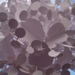 Profile photo of allisonmmurphy