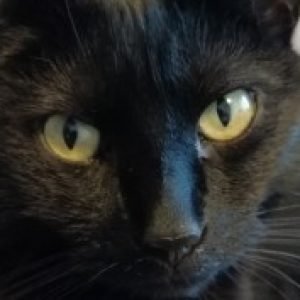 Profile photo of Ruth Gillett