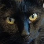 Profile photo of Ruth Gillett