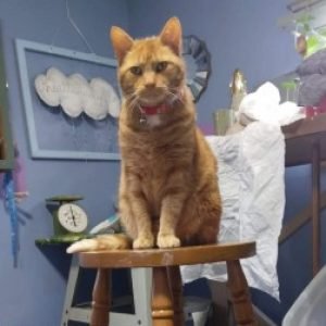 Profile photo of Kara Bledsoe