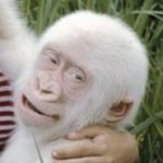 Profile photo of adam-field