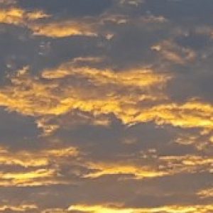 Profile photo of Arlete Jurdukian