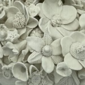 Profile photo of Anna Ryland