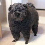 Profile photo of karlyrb