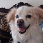 Profile photo of alondra85