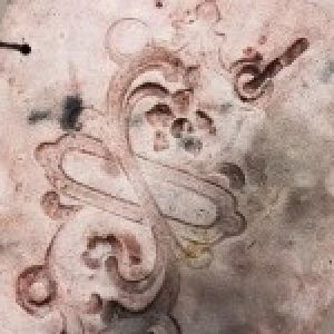 Profile photo of Vivian Rood